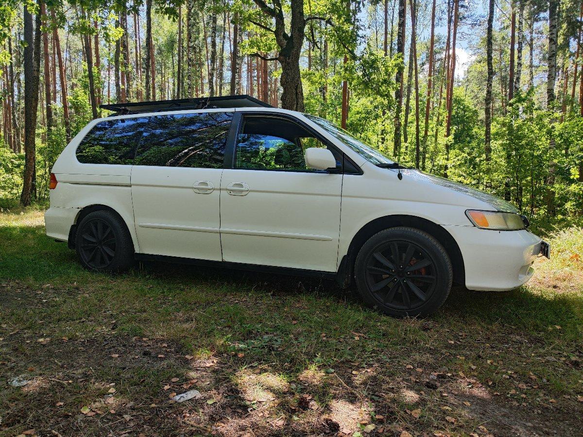 Honda Odyssey side profile with black wheels and roof rack in forest